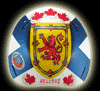 EYECANDYAIR Custom Airbrush Painted Nova Scotia Flag Sportmask Goalie Mask Backplate